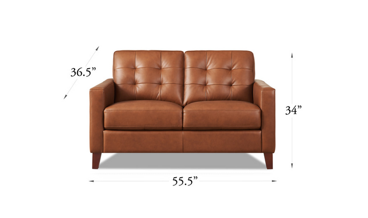 Aiden 2-Seater Leather Loveseat With Track Arms