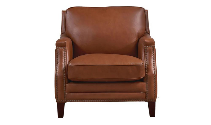 Camano Leather Chair in Leather with Nailhead Finish