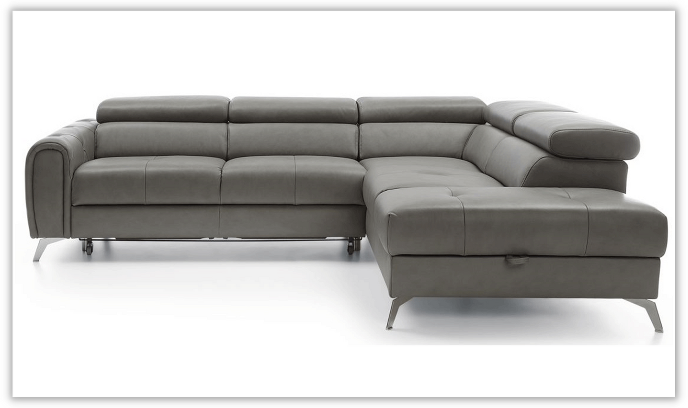 Camelia Sectional with Bed and Storage