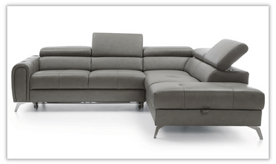 Camelia Sectional with Bed and Storage