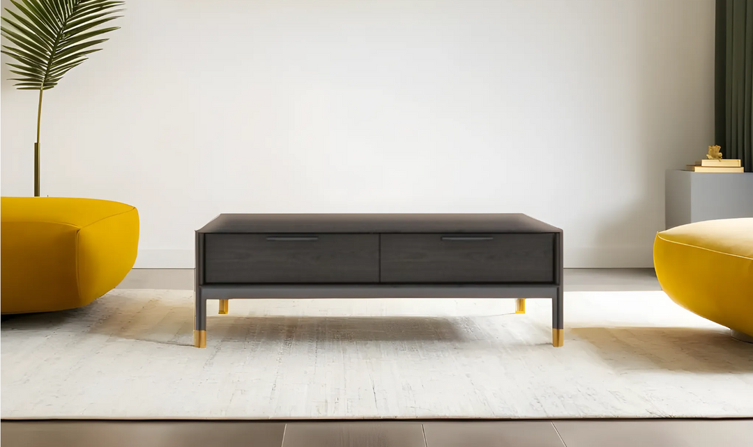 Leahyco Italia Diapo 2 Drawer Coffee Table in Wenge-Leahyco