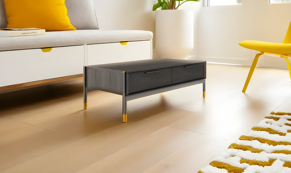 Leahyco Italia Diapo 2 Drawer Coffee Table in Wenge-Leahyco