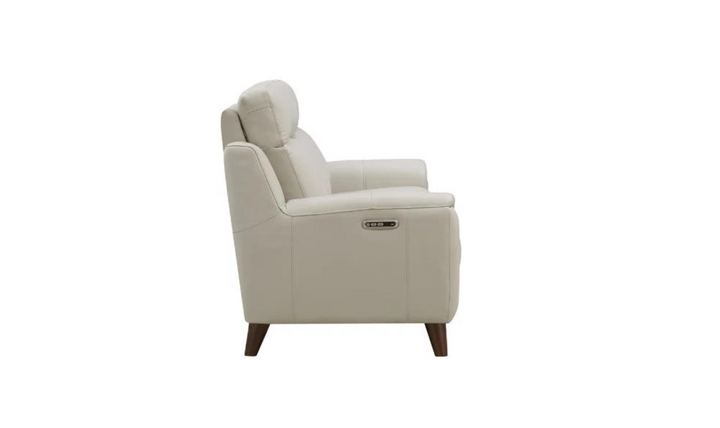 Hydeline Torino 2-Seater Zero Gravity Recliner Loveseat with Power Headrest- Leahyco