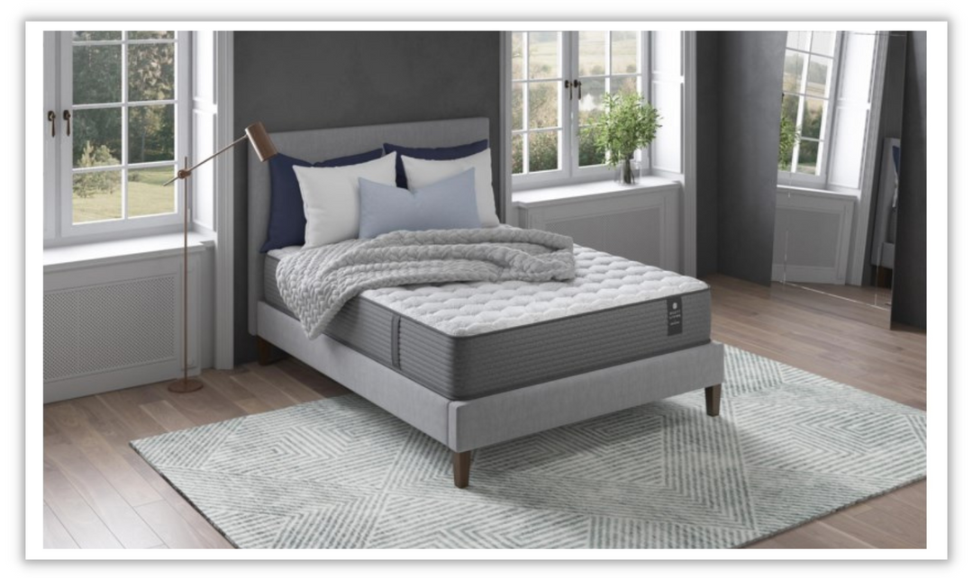 Scott Living Limited Edition by Restonic - Concord Mattress