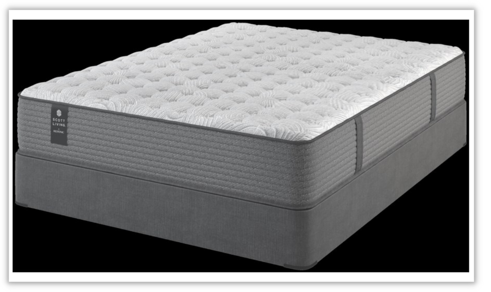 Scott Living Limited Edition by Restonic - Concord Mattress