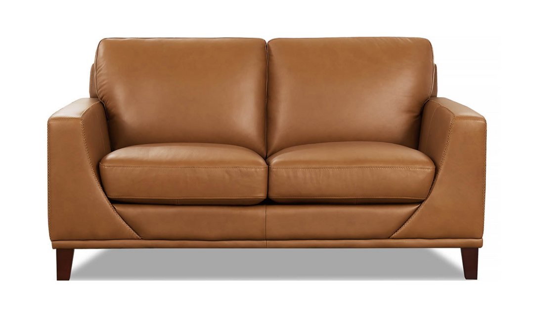 Soma 2-Seater Leather Loveseat With Box Seat Cushions-Leahyco