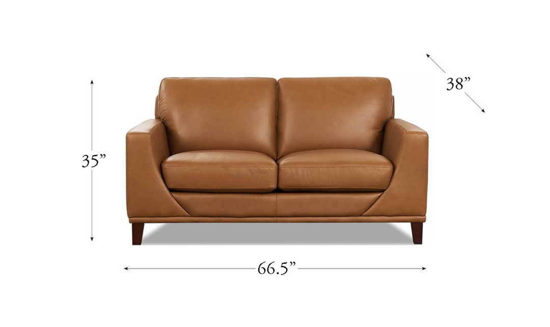 Soma 2-Seater Leather Loveseat With Box Seat Cushions-Leahyco