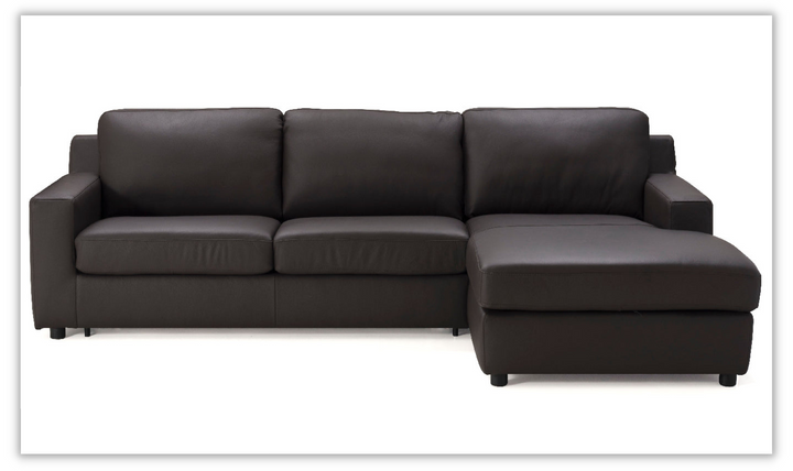 Buy Urban Sleeper Sectional Sofa Online at Leahyco