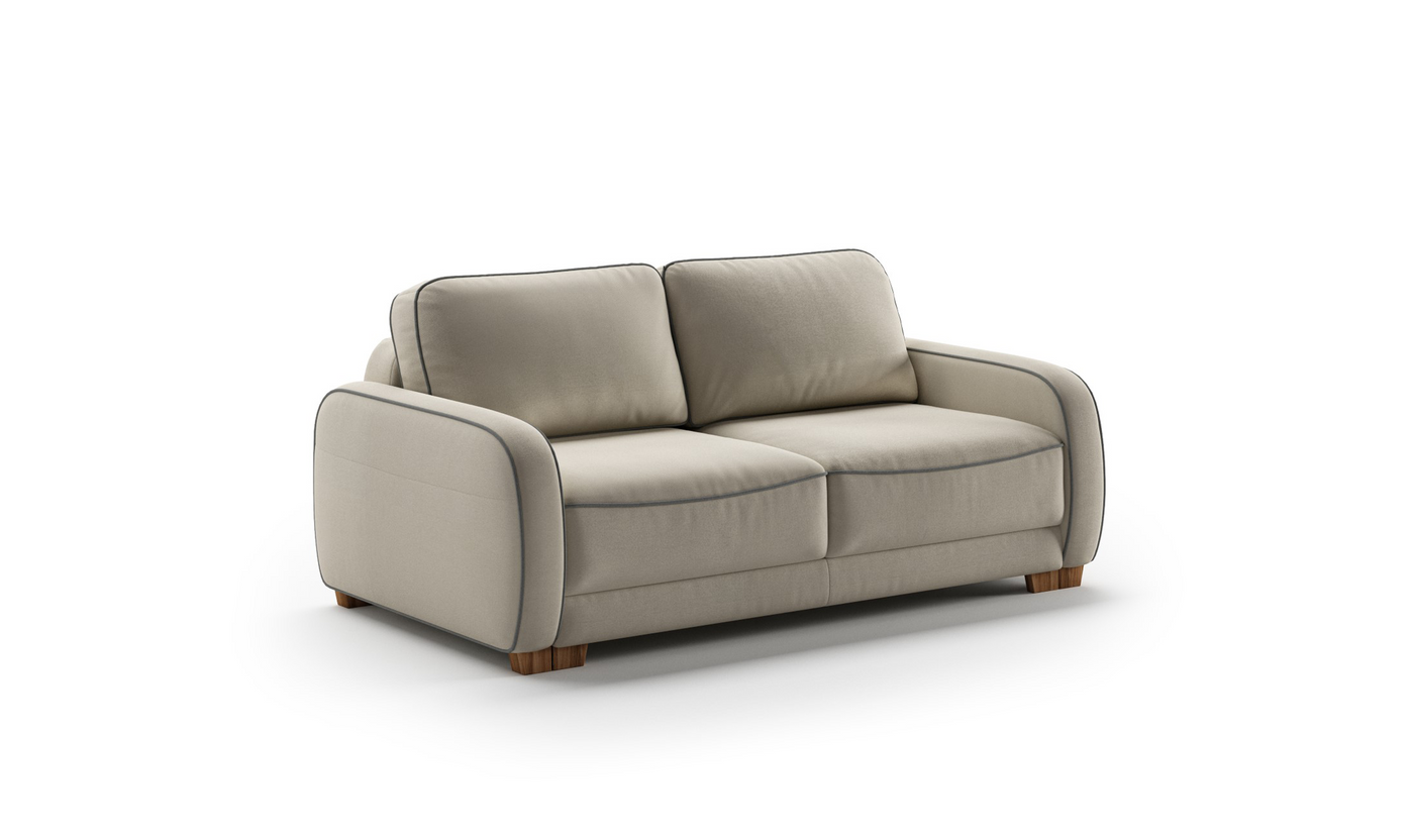 Luonto Leon 2-Seater Fabric Queen Loveseat Sleeper Sofa