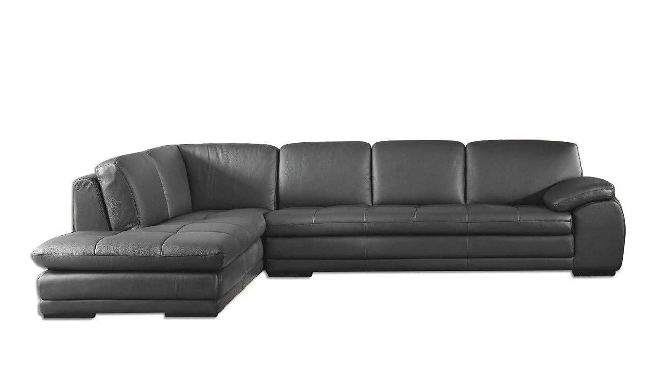 Natasha Sectional Chaise-Sectional-Leahyco