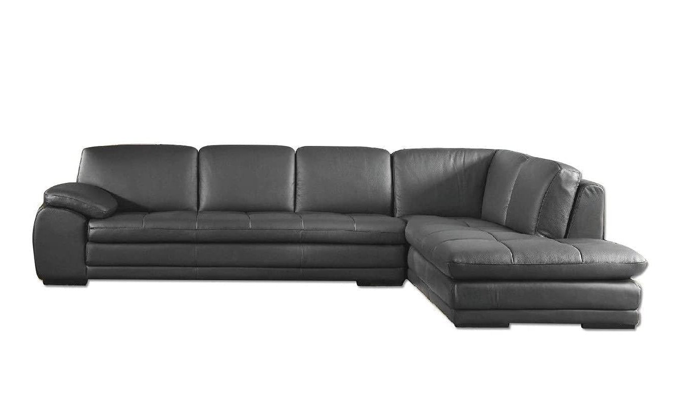 Natasha Sectional Chaise-Sectional-Leahyco