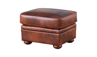 Arizona Ottoman-Ottomans-Leahyco