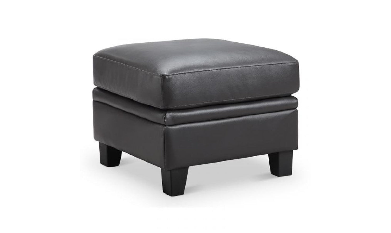 Fletcher Ottoman-Ottomans-Leahyco