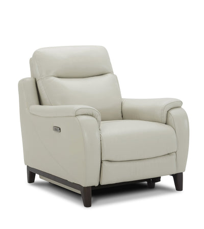 Leonard Dual Power Recliner-Recliner Chairs-Leahyco