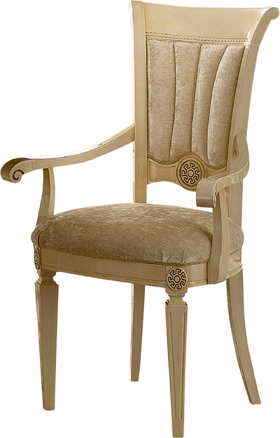 Aida Arm Chair-Dining Arm Chairs-Leahyco