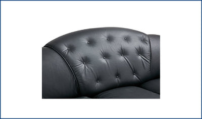 Apolo Loveseat-Loveseats-Leahyco