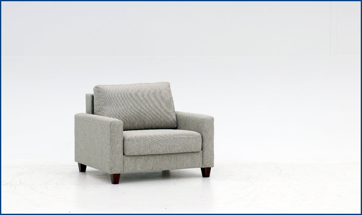 Nico Loveseat Sleeper -Sleeper Sofas-Leahyco