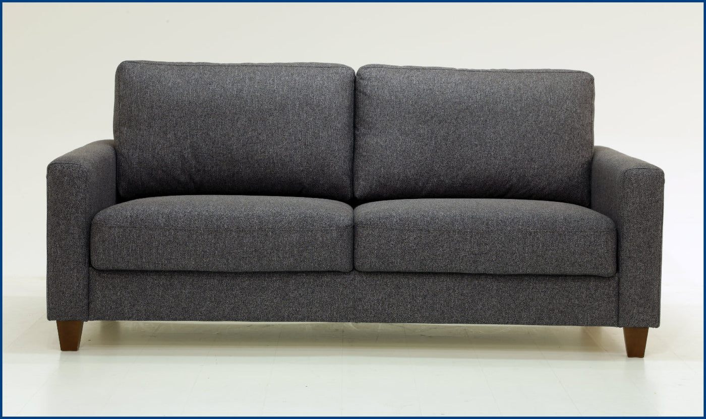 Nico Loveseat Sleeper -Sleeper Sofas-Leahyco