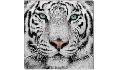 Wall Art Black and White Tiger-Wall Art-Leahyco